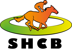 905345_199065326944389_1865770159_o